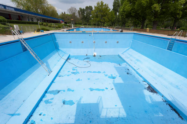 Best Mold removal after water damage  in Cabana Colony, FL
