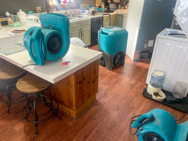 Best Basement water damage restoration  in Cabana Colony, FL
