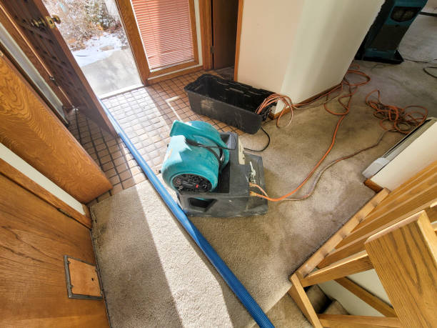 Best Ceiling water damage repair  in Cabana Colony, FL