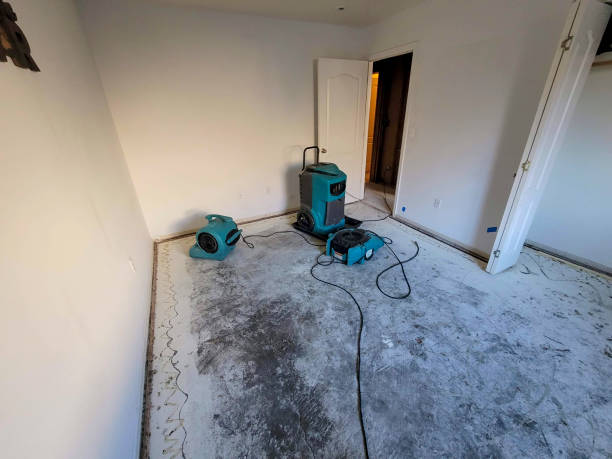 Best Flood damage cleanup  in Cabana Colony, FL