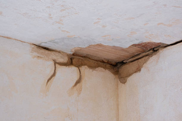 Best Professional water damage repair  in Cabana Colony, FL