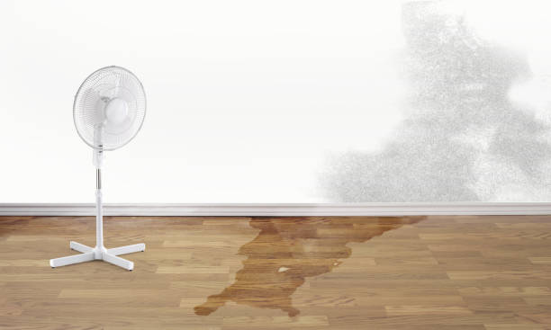 Best Emergency water damage restoration  in Cabana Colony, FL
