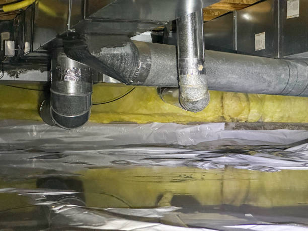 Best Water damage mitigation services  in Cabana Colony, FL
