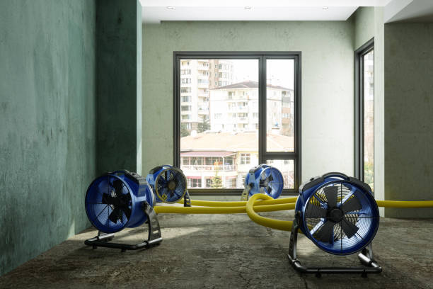 Best Sewage cleanup and water damage restoration  in Cabana Colony, FL
